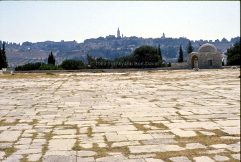 View of Har Zeitim fm approx Mizbeiakh ha-Qetoret on Har ha-Bayit